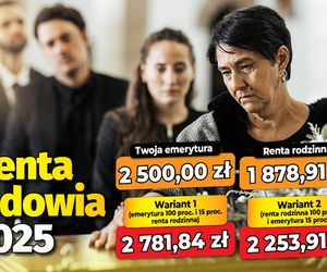 Renta wdowia 2025
