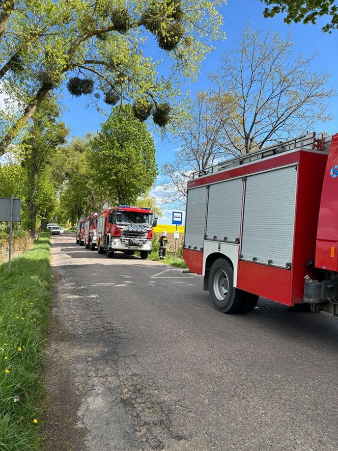 Śmiertelny wypadek pod Olsztynem. 39-latek zignorował znak "stop"? [ZDJĘCIA].