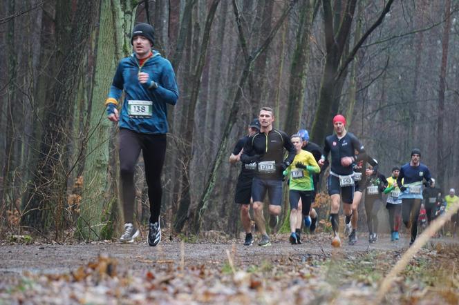 City Trail w Bydgoszczy. Miłośnicy biegania opanowali Myślęcinek [ZDJĘCIA]