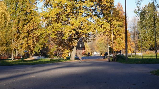 Park Ludowy w listopadowej odsłonie!