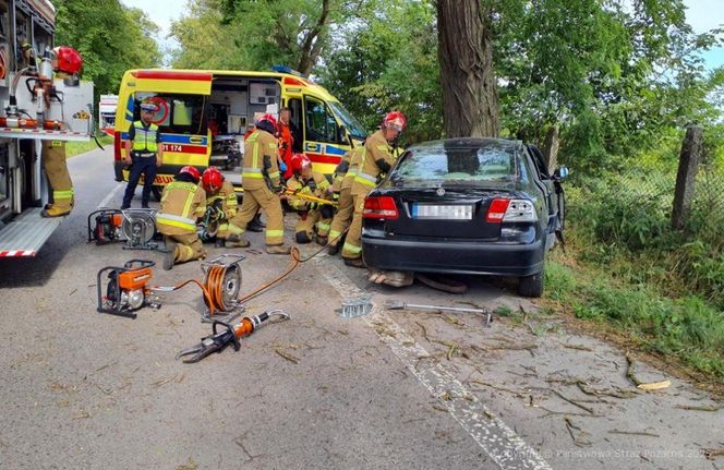Śmiertelny wypadek pod Skierniewicami. 68-latek uderzył w drzewo [ZDJĘCIA].