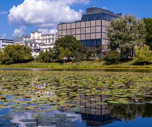 Muzeum Fabryka Czekolady Warszawa