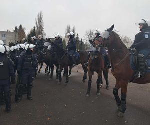 Atestacja koni służących w łódzkiej policji i straży miejskiej