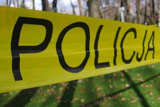 W parku Olszewskich w Bełchatowie znaleziono zwłoki 27-latka. Zabójcą okazał się bezdomny