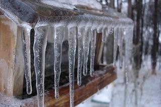 Kalendarium: 17 stycznia. Odnotowano najwyższą zimową temperaturę w Polsce i zmarł Czesław Niemen