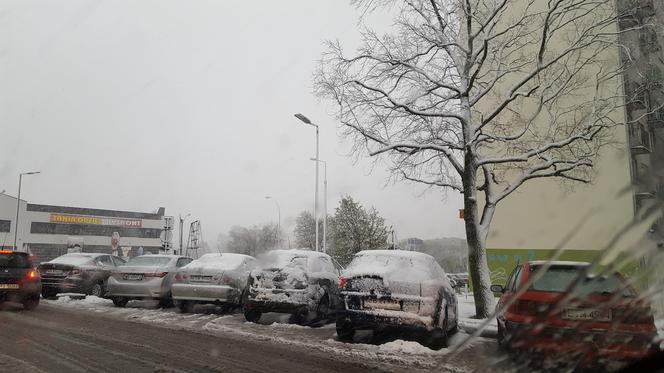 Zdjęcia z wtorku (18 kwietnia) z Piotrkowa Trybunalskiego
