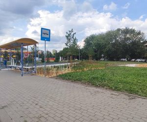 Park kieszonkowy powstający przy ul. Wyszyńskiego w Siedlcach