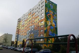 Ekologiczny mural w Bydgoszczy