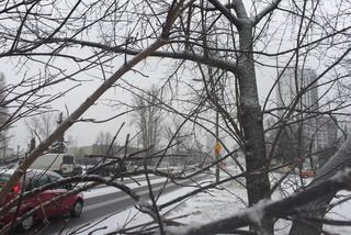 Warszawa: Śnieg nie przestanie padać do południa