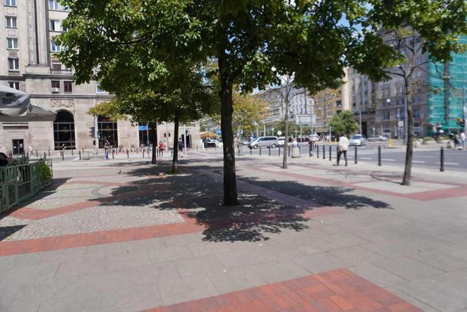 Tak w czasie upałów wygląda centrum Warszawy 