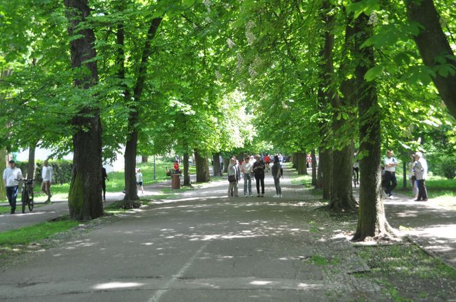 Kielce. Święto Konstytucji 3 Maja (2025)