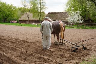 Muzeum Wsi Lubelskiej