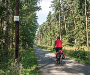 Najładniejsze ścieżki rowerowe w woj. śląskim jesienią