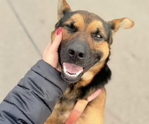 Grześ skazany na śmierć w męczarniach. Bestia przywiązała go do drzewa! Błagamy o pomoc