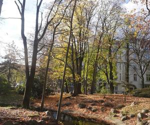 Park Wilsona