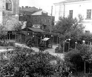 Zoo w Zamościu na starych zdjęciach