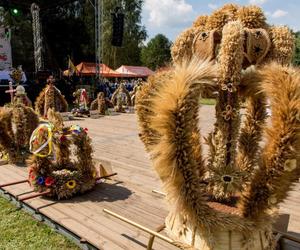 Dożynki województwa Śląskiego już w niedzielę. Przygotowano moc atrakcji