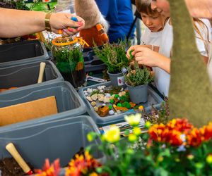 Wielki piknik kwietny finał 42. edycji konkursu „Warszawa w kwiatach”