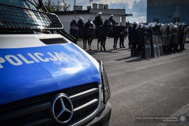 Policyjne konie zdały egzamin!
