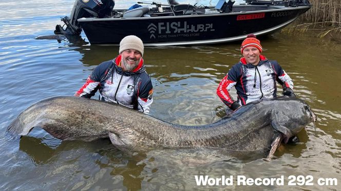 Polscy wędkarze złowili suma giganta o długości 292 cm. To nowy rekord świata!