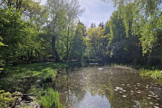 Wiosna w Ogrodzie Botanicznym UKW, czyli spacer wśród zieleni