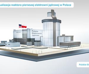 Pierwsza elektrownia jądrowa w Polsce – wizualizacja reaktora