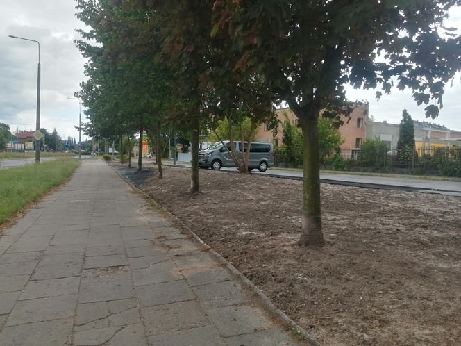 Park kieszonkowy w Siedlcach