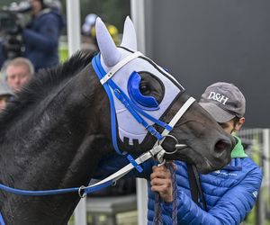 Wielka Warszawska 2025