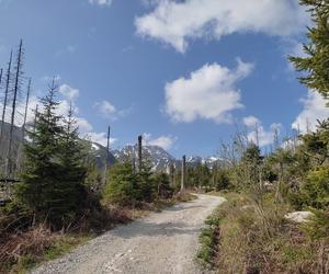 Nagły zwrot w sprawie zaginionego małżeństwa z Warszawy. Słowacka policja ujawnia, co się z nimi stało