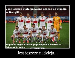 Ukraina - Polska 1:0, MEMY