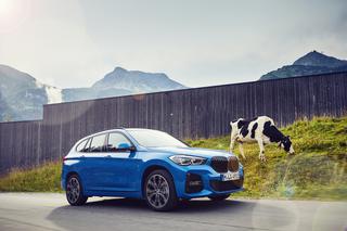 BMW X1 xDrive25e