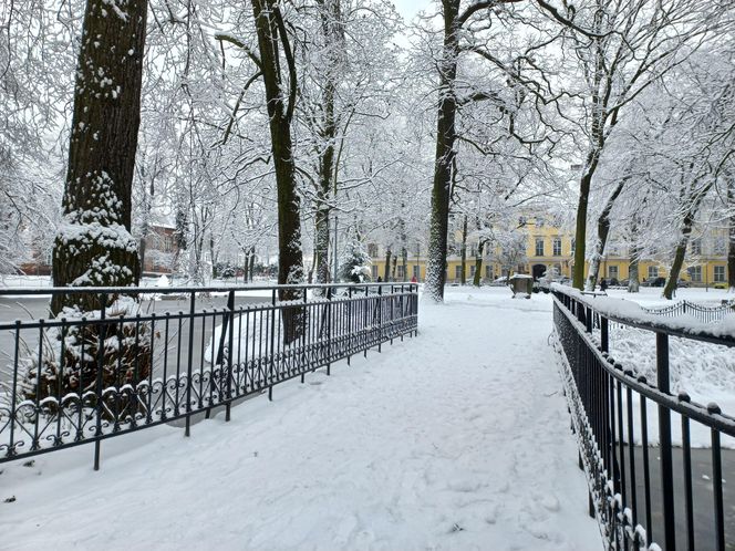 Leszno wygląda bajkowo! Na walentynki sypnęło śniegiem