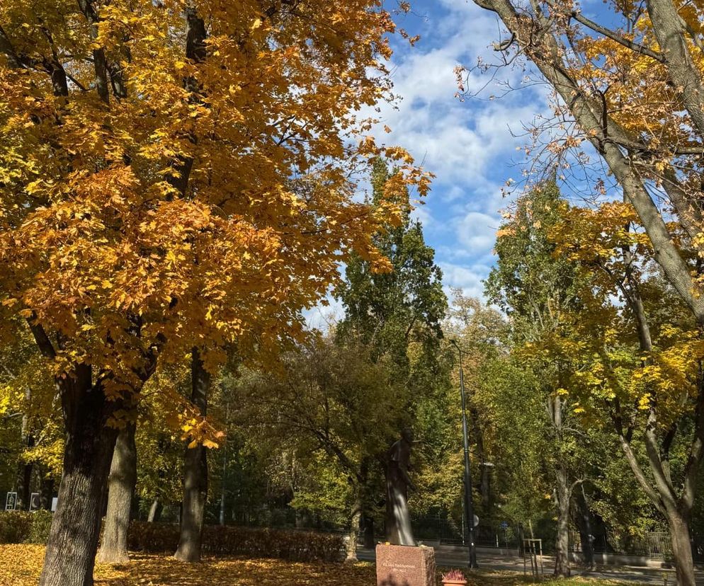 Skwer im. Arcybiskupa Życińskiego 