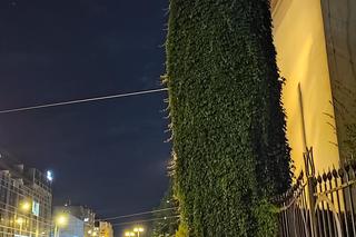 Upiorne latarnie we Wrocławiu. Miejskie straszydła to wieczorna atrakcja miasta