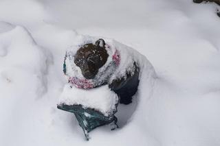 Figurki WidziMisie w zimowej odsłonie. Zobacz białostocką atrakcję [GALERIA]