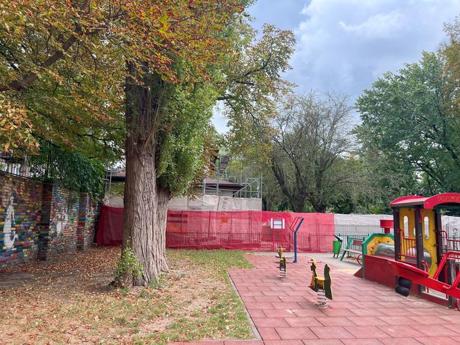 Biblioteka w ogrodzie powstaje na Pradze-Północ