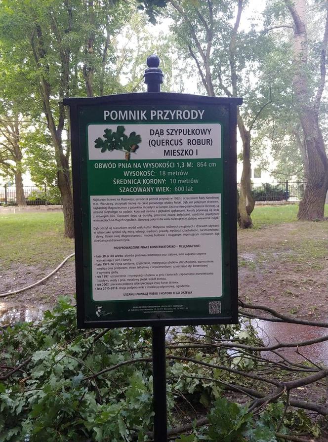 Pożar pomnika przyrody