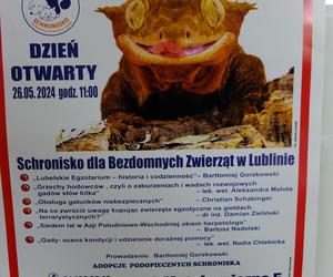 Dzień otwarty w Schronisku dla Bezdomnych Zwierząt w Lublinie [ZDJĘCIA, WIDEO]