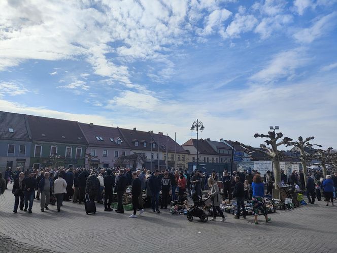 Jarmark stroci ponownie zawitał do Pszczyny