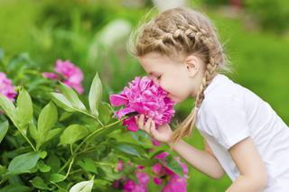 Hortiterapia: jak terapia w ogrodzie pomaga chorym dzieciom?
