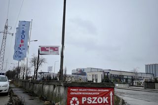 Drugie życie świątecznych drzewek. Lublin ma propozycje dla mieszkańców