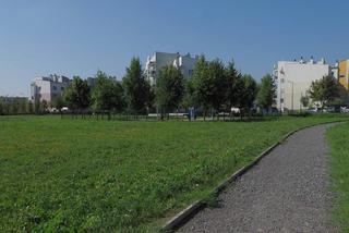 To miejsce za pół roku będzie wyglądało inaczej. Miasto przygotowuje Park Centralny na Felinie