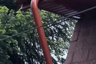 Oszukani metodą na rynnę