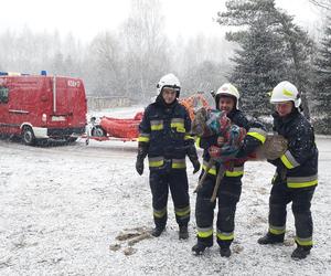 Strażacy z Nietuliska uratowali sarenkę