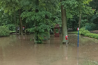 Poznańskie Zoo zalane! Zniszczona słoniarnia, chata tygrysa i stara lwiarnia [AUDIO]