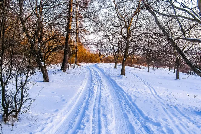 Pogoda na styczeń 2023. Siarczyste mrozy i śnieżyce kontratakują. Bezlitosna prognoza długoterminowa