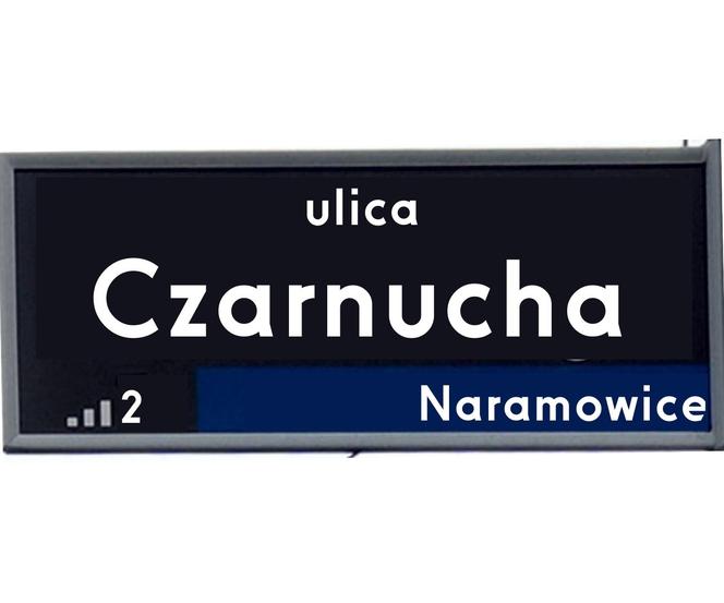 Czarnucha