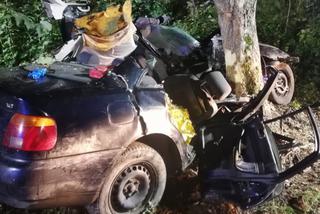 Wielewo. Tragiczny wypadek w gminie Braniewo. Auto wbiło się w drzewo! 19-latek nie żyje!