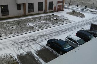 Pierwszy śnieg w tym roku we Wrocławiu i na Dolnym Śląsku. Zima przyszła na dłużej? [ZDJĘCIA]