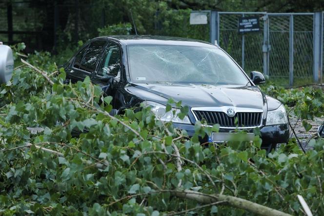 Burze w rejonie Oświęcimia. Blisko 200 interwencji strażaków